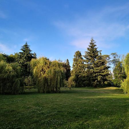 Entire Forest Home Near Nature & Amenities Surrey Exterior foto