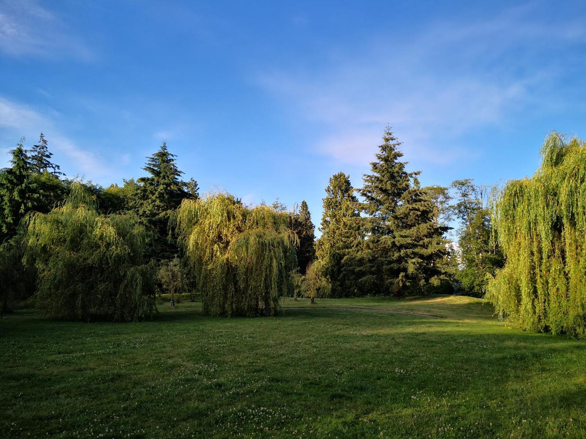 Entire Forest Home Near Nature & Amenities Surrey Exterior foto
